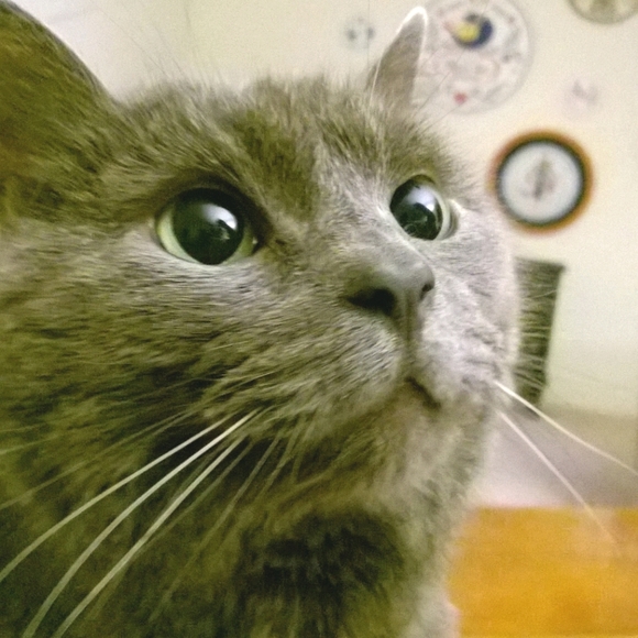 Meet your Posher, Bethany - Picture 6 of 12